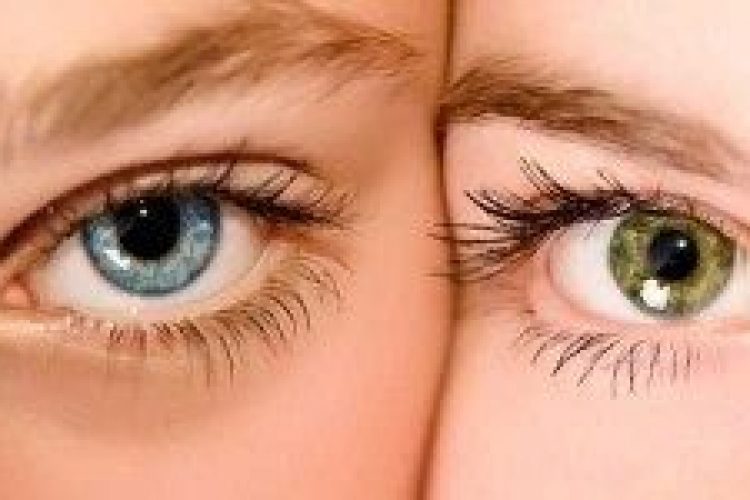Eyes – 12 Facts About the Human Eyes You’ll Find Interesting